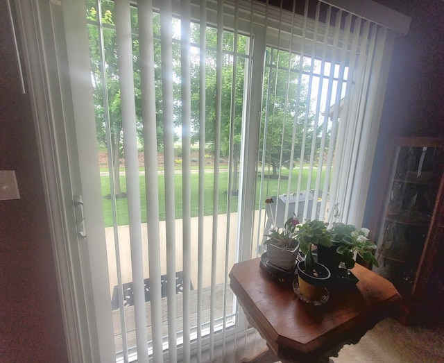 626 Sedgegrass Dr, Champaign, IL 61822 - view of doorway