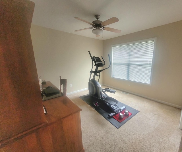 626 Sedgegrass Dr, Champaign, IL 61822 - exercise room with carpet floors, a ceiling fan, and baseboards