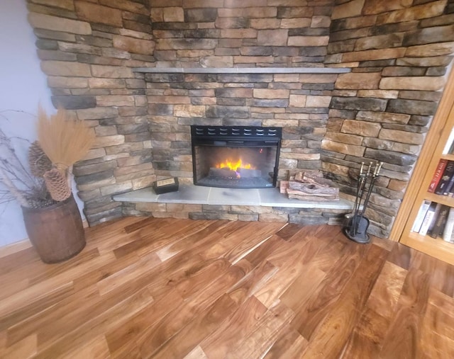 626 Sedgegrass Dr, Champaign, IL 61822 - detailed view of a fireplace and wood finished floors