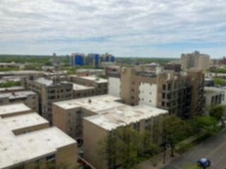 5415 N Sheridan Rd Unit 1210, Chicago, IL 60640 - view of city