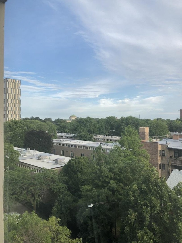 1450 E 55th Pl Unit 628S, Chicago, IL 60637 - view of city