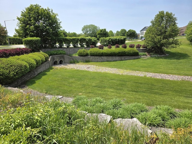 18545 S Marilynn Ct, Mokena, IL 60448 - view of home's community with a yard