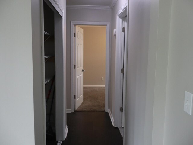 95 Manhattan Dr, Streator, IL 61364 - hall with ornamental molding, baseboards, and dark wood-type flooring