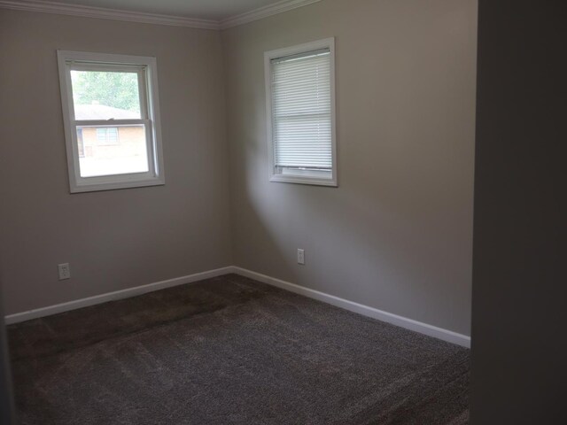 95 Manhattan Dr, Streator, IL 61364 - unfurnished room with crown molding, dark colored carpet, and baseboards