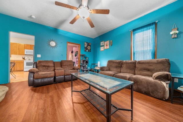 620 S Main St, Belvidere, IL 61008 - living area featuring light wood finished floors and a ceiling fan