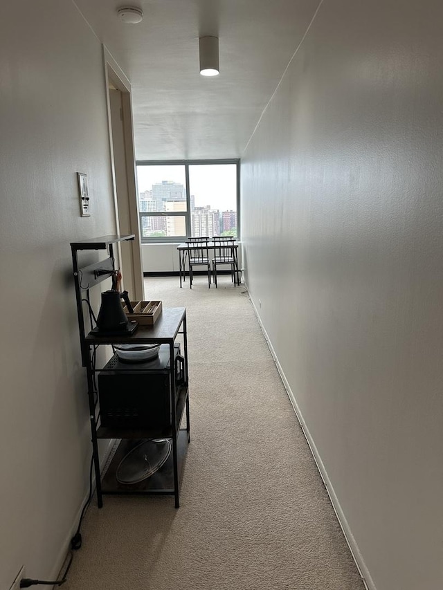 1700 E 56th St Unit 1706, Chicago, IL 60637 - corridor with carpet floors, a desk, and baseboards