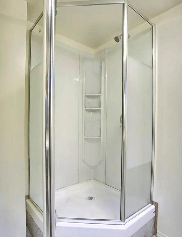 204 W Florida Ave, Urbana, IL 61801 - full bathroom with a stall shower