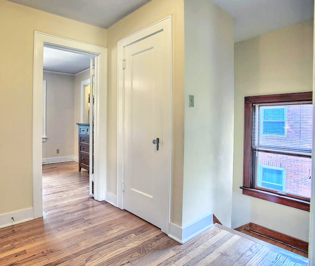204 W Florida Ave, Urbana, IL 61801 - corridor featuring light wood-style flooring and baseboards