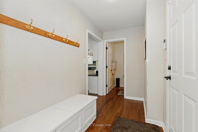 24255 Cropland Dr, Plainfield, IL 60544 - hall featuring dark wood-style floors and baseboards
