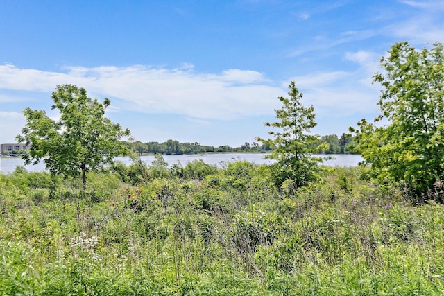 23521 N Sanctuary Club Dr, Kildeer, IL 60047 - water view