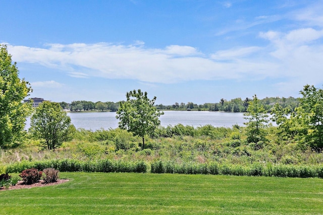 23521 N Sanctuary Club Dr, Kildeer, IL 60047 - water view