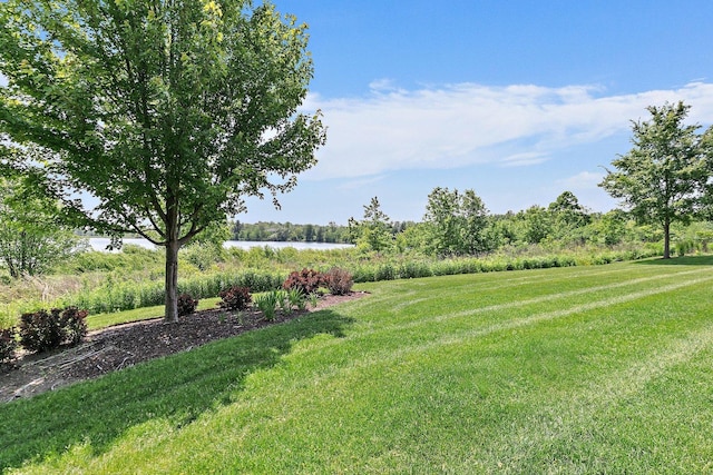23521 N Sanctuary Club Dr, Kildeer, IL 60047 - view of grassy yard featuring a water view