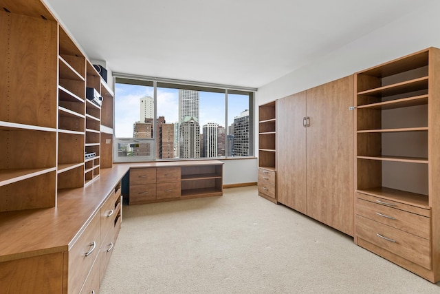 1000 N Lake Shore Plz Unit 17C, Chicago, IL 60611 - spacious closet featuring light colored carpet and built in desk