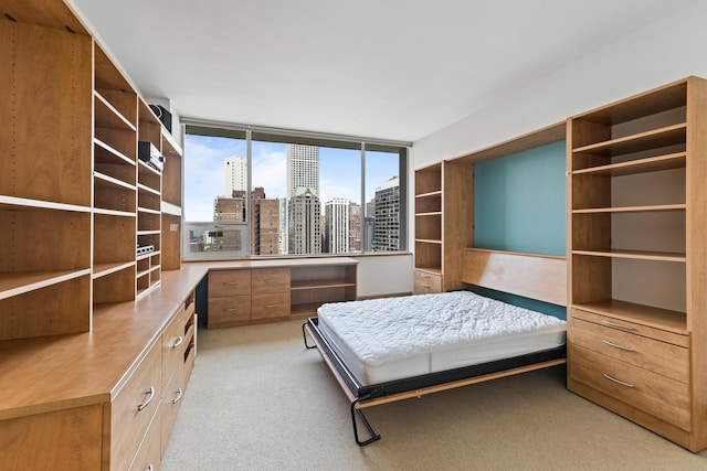 1000 N Lake Shore Plz Unit 17C, Chicago, IL 60611 - bedroom with a skyline view and light colored carpet