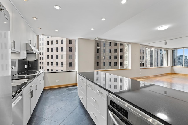1000 N Lake Shore Plz Unit 17C, Chicago, IL 60611 - kitchen with under cabinet range hood, dishwasher, dark countertops, baseboards, and white cabinetry