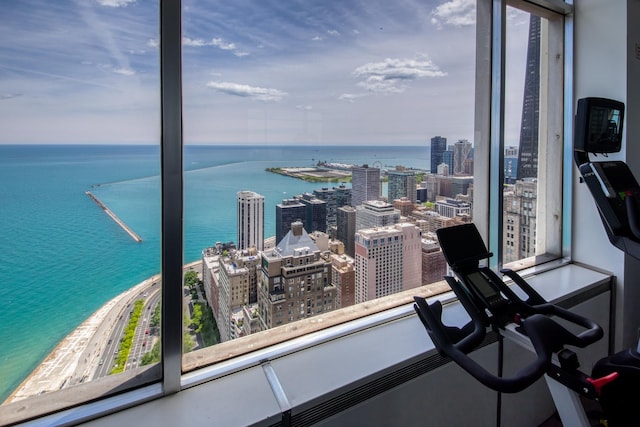 1000 N Lake Shore Plz Unit 17C, Chicago, IL 60611 - water view featuring nearby urban area