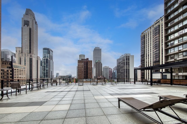 1000 N Lake Shore Plz Unit 17C, Chicago, IL 60611 - view of community featuring a skyline view
