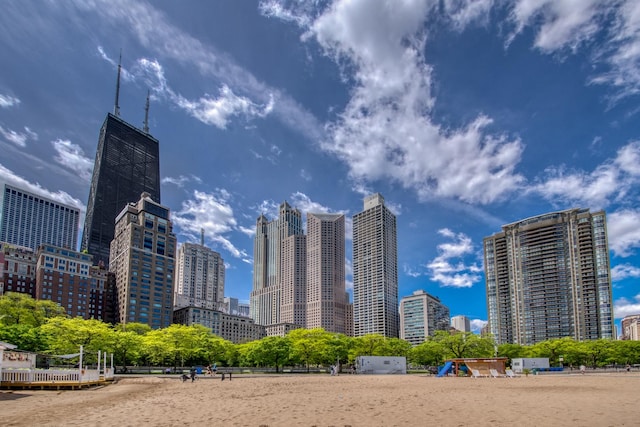 1000 N Lake Shore Plz Unit 17C, Chicago, IL 60611 - skyline view