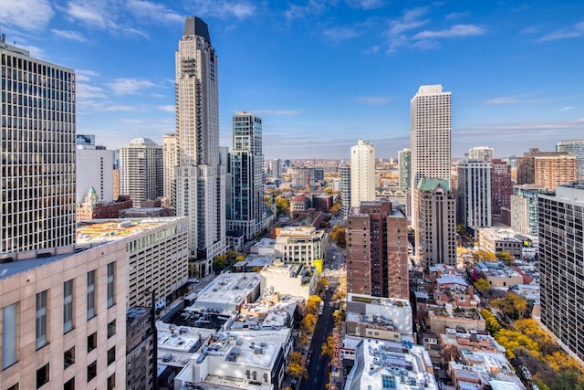 1000 N Lake Shore Plz Unit 17C, Chicago, IL 60611 - view of city skyline