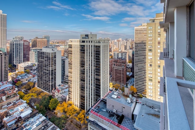 1000 N Lake Shore Plz Unit 17C, Chicago, IL 60611 - view of city