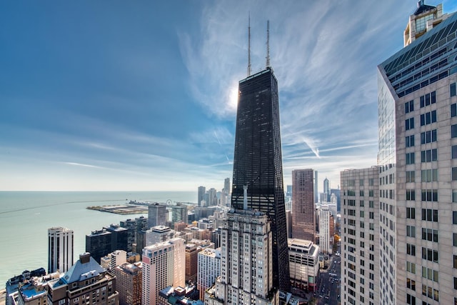 1000 N Lake Shore Plz Unit 17C, Chicago, IL 60611 - city view with a large body of water