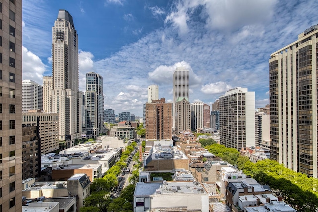 1000 N Lake Shore Plz Unit 17C, Chicago, IL 60611 - view of city skyline