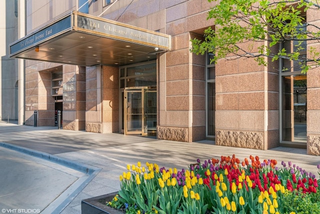 161 E Chicago Ave Unit 33De, Chicago, IL 60611 - view of exterior entry