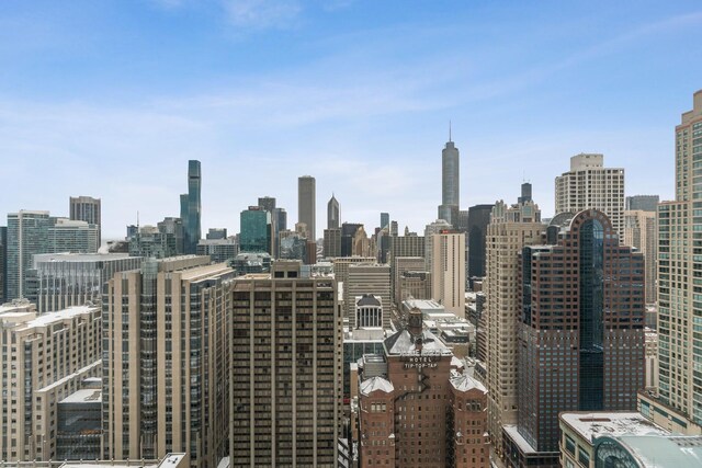 161 E Chicago Ave Unit 33De, Chicago, IL 60611 - view of city skyline