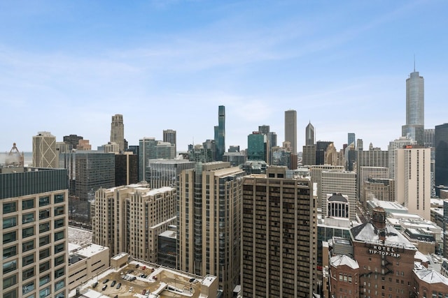 161 E Chicago Ave Unit 33De, Chicago, IL 60611 - skyline view