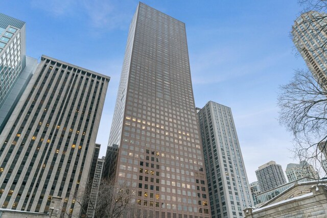 161 E Chicago Ave Unit 33De, Chicago, IL 60611 - city view