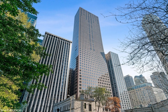 161 E Chicago Ave Unit 33De, Chicago, IL 60611 - view of city