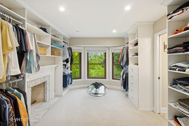 3022 Woods Creek Ln, Algonquin, IL 60102 - spacious closet featuring carpet floors and a fireplace