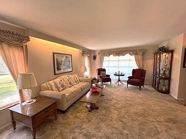 5N265 Neva Ter, Itasca, IL 60143 - living room featuring carpet, baseboards, and a textured ceiling