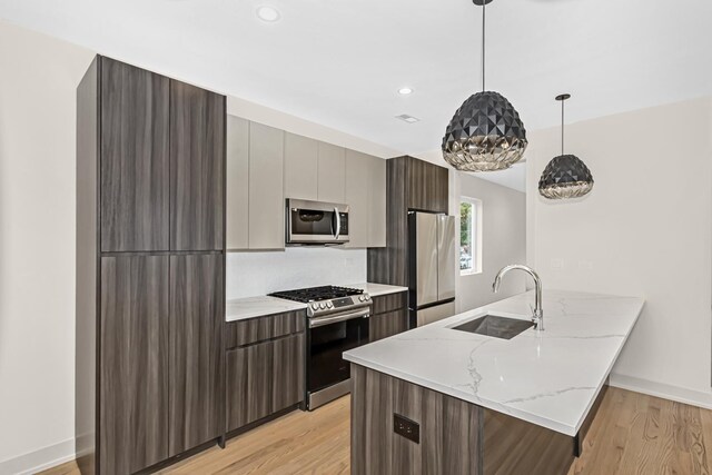 6513 S Langley Ave, Chicago, IL 60637 - kitchen with appliances with stainless steel finishes, a sink, modern cabinets, light wood-type flooring, and recessed lighting