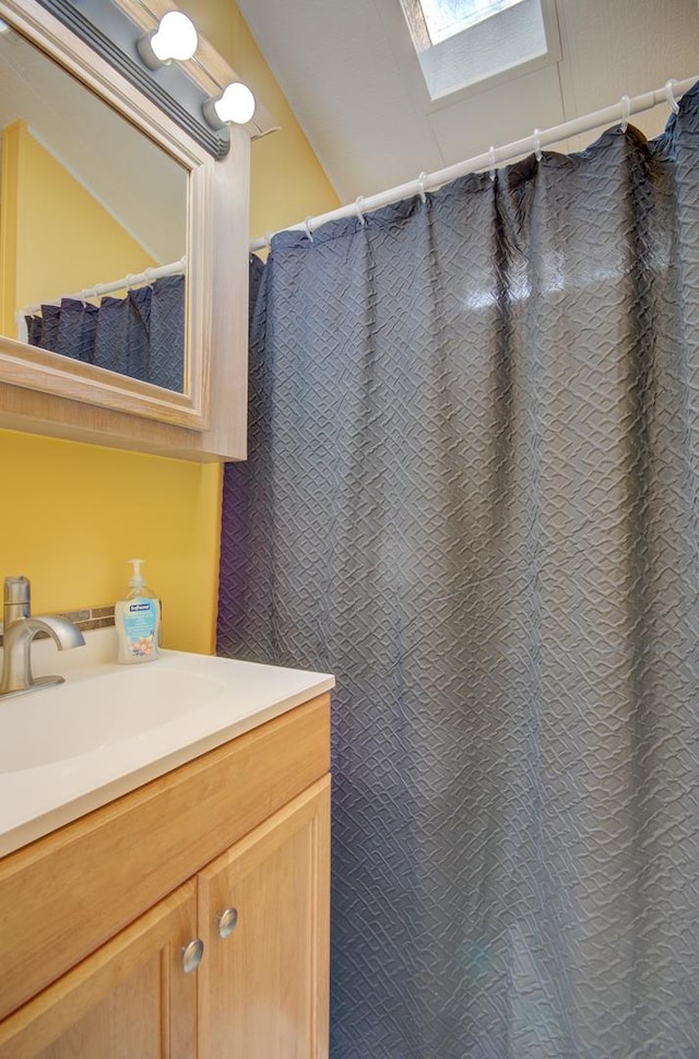 166 Fossil Cove Ln, Wilmington, IL 60481 - full bath featuring a skylight, vanity, and a shower with shower curtain