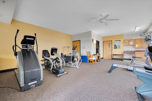 9355 Irving Park Rd Unit 506, Schiller Park, IL 60176 - exercise room featuring carpet and a ceiling fan