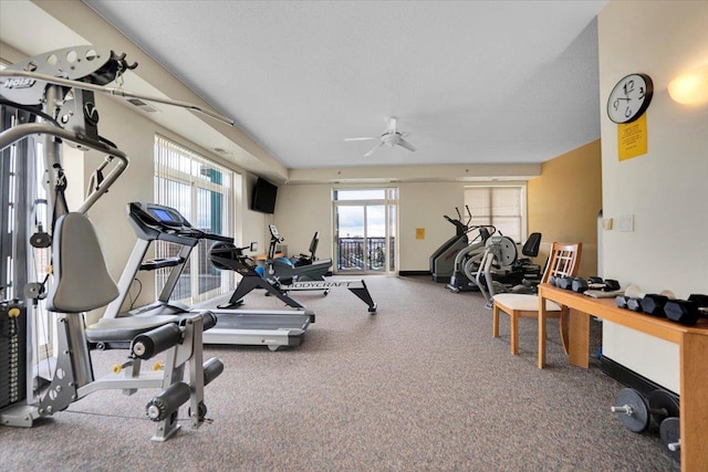 9355 Irving Park Rd Unit 506, Schiller Park, IL 60176 - exercise room featuring carpet floors and ceiling fan