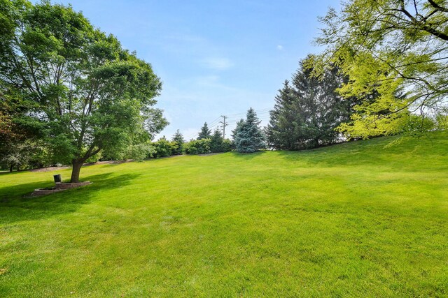 164 River Mist Dr, Oswego, IL 60543 - photo 24