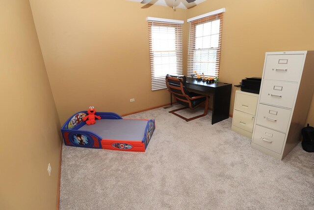 523 Jaquays St, Lockport, IL 60441 - bedroom featuring carpet flooring