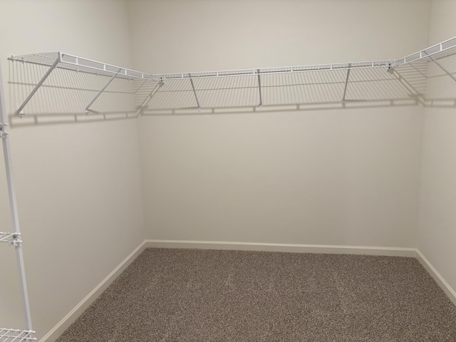 2280 Elderberry Ct, Wonder Lake, IL 60097 - walk in closet featuring carpet floors