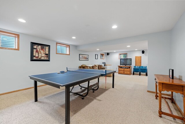 19601 Greenview Pl, Tinley Park, IL 60487 - photo 25