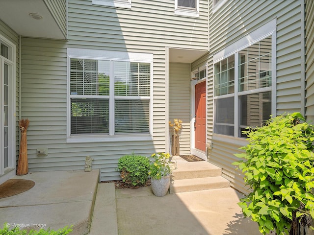 1016 Hummingbird Way, Bartlett, IL 60103 - view of doorway to property