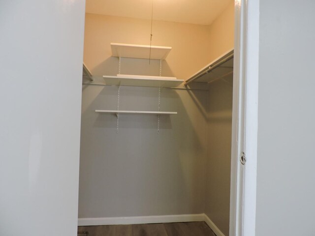 703 E Fullerton Ave Unit 1-110, Glendale Heights, IL 60139 - spacious closet with wood finished floors