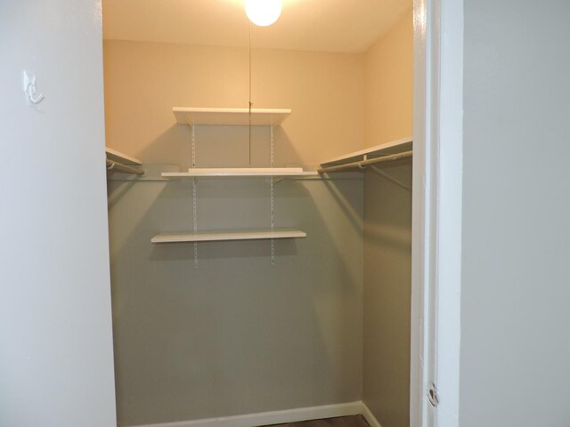 703 E Fullerton Ave Unit 1-110, Glendale Heights, IL 60139 - view of walk in closet