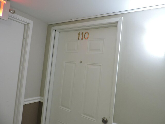 703 E Fullerton Ave Unit 1-110, Glendale Heights, IL 60139 - doorway to property
