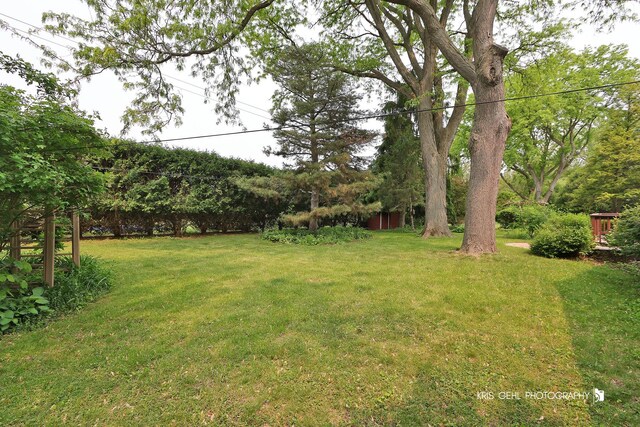 819 N Sharon Dr, Woodstock, IL 60098 - photo 23