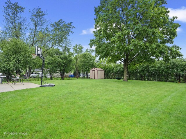 625 N Dupage Ave, Addison, IL 60101 - view of grassy yard