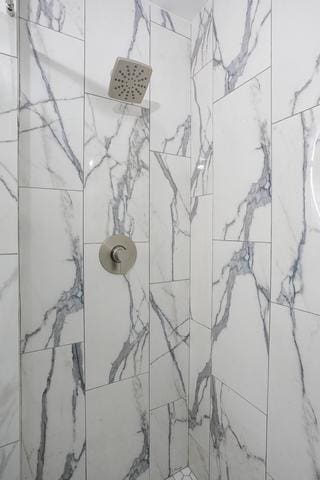 615 E 101st Pl, Chicago, IL 60628 - bathroom view of tiled shower