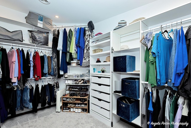 611 Filly Ln, Grayslake, IL 60030 - walk in closet with carpet flooring