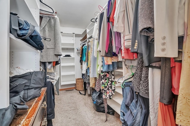 1072 Ronald Dr, Joliet, IL 60435 - walk in closet featuring carpet floors